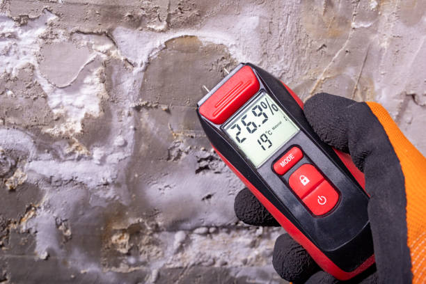 Best Mold Cleaning Services  in Seagoville, TX