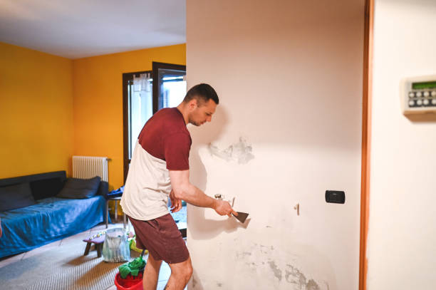 Best Same-Day Mold Removal  in Seagoville, TX