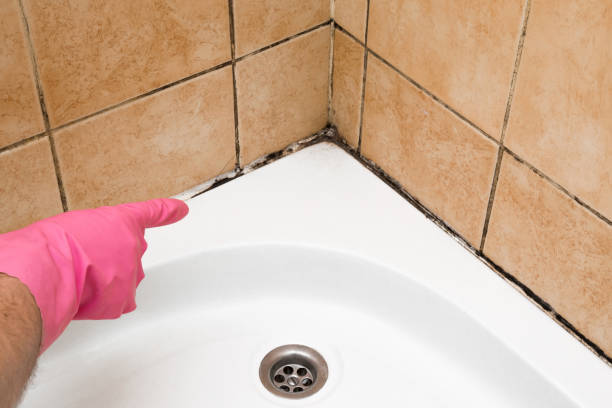 Best Mold Removal Near Me  in Seagoville, TX
